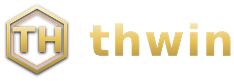 thwin โลโก้